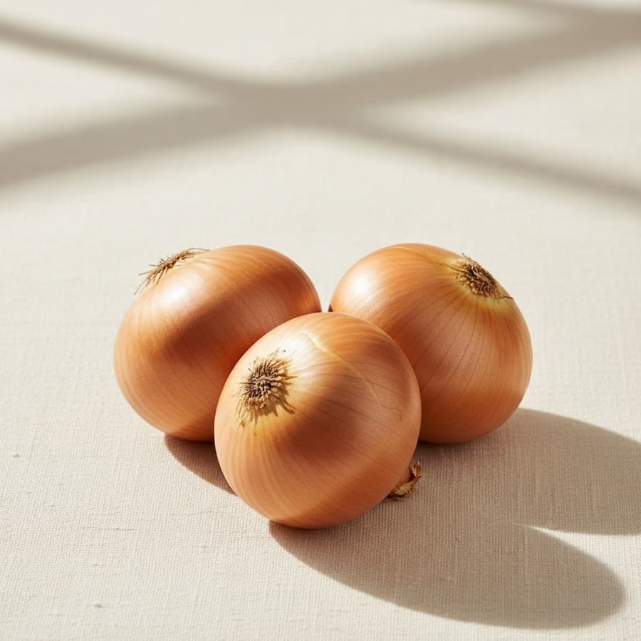 Cebolla