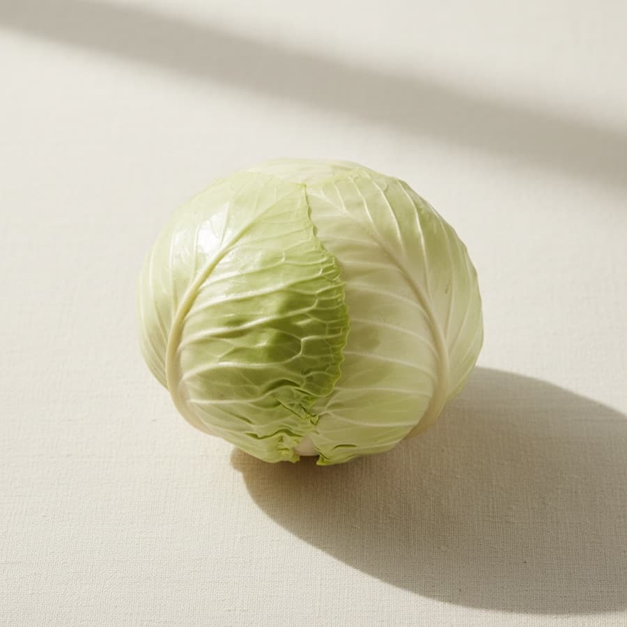 Repollo Blanco